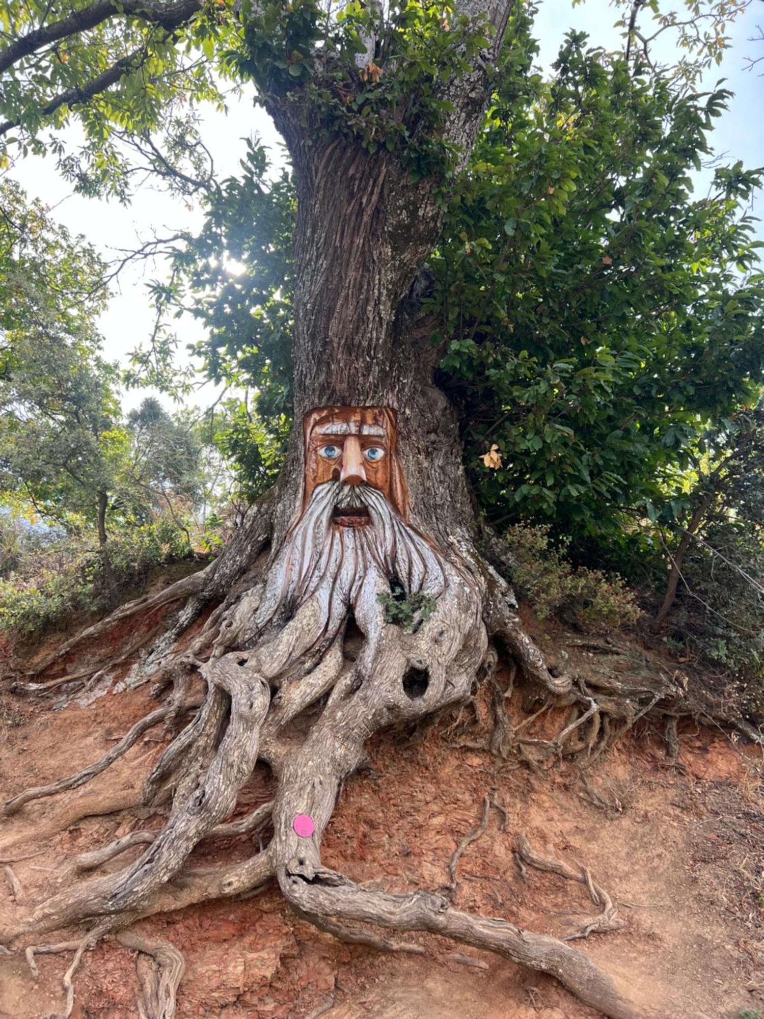 Casa Orencio, Bosque Encantado De Parauta Ngoại thất bức ảnh